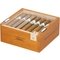 Robusto Kiste offen