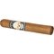 Robusto Stick 2