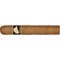 Connecticut Robusto Stick