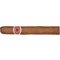 CIGARWORLD Format-Sampler Petit Corona_Zigarre