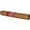 Flair Stick 2