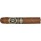Summa Robusto stick