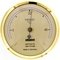 Adorini Messinstrumente Thermometer (gold - groß)