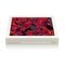 Davidoff Limited Editions ART Edition 2017 Hyperflower Kiste