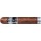 Carlos Torano Vault Robusto