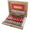 Rocky Patel Sun Grown Petit Corona Kiste offen