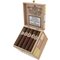 La Regenta Maduro Short Robusto Kiste offen