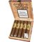 La Regenta Short Robusto Limited Edition Kiste offen