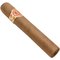 Robusto schräg