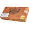 Robusto 25er Kiste