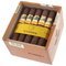Cohiba Zigarren Siglo I - 25er offen