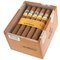 Cohiba Zigarren Siglo II - 25er offen
