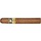 Siglo VI Stick