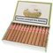 Flor de Cano Petit Corona 25er offen