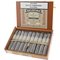 Belmore Maduro Robusto Kiste offen
