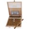 Long Panetela 20er Kiste offen