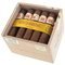 Hoyo de Monterrey Petit Robusto 25er offen