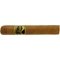 A. Jason 4all Robusto
