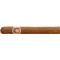 Hoyo de Monterrey Short Hoyo Corona