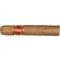 José Marti Robusto