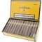 Don Tomas Clasico Robusto Kiste offen