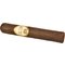 Oliva Serie G Double Robusto_Zigarre