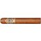 CAO Gold Robusto