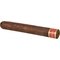 Cain Serie F Robusto 550 Zigarre