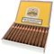 Partagas Presidentes Zigarren 25er offen