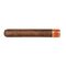 Cain Daytona Robusto 550_Zigarre
