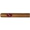 Zino Classic No. 5