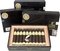 Flor de Selva Maduro