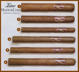 Zigarren der Serie Zino Mouton Cadet