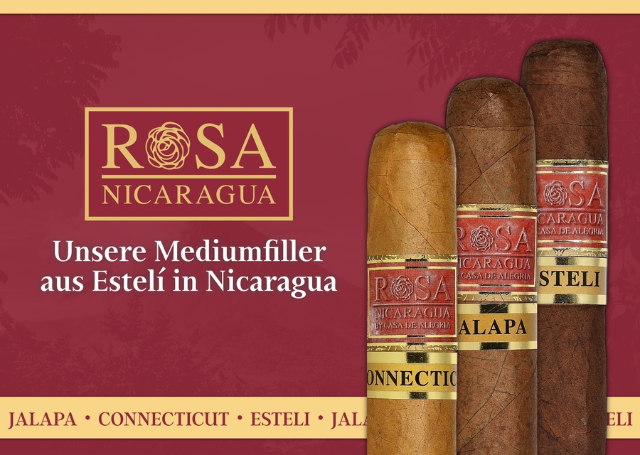 Drei Zigarren der Serien Jalapa, Esteli und Connecticut von Rosa Nicaragua