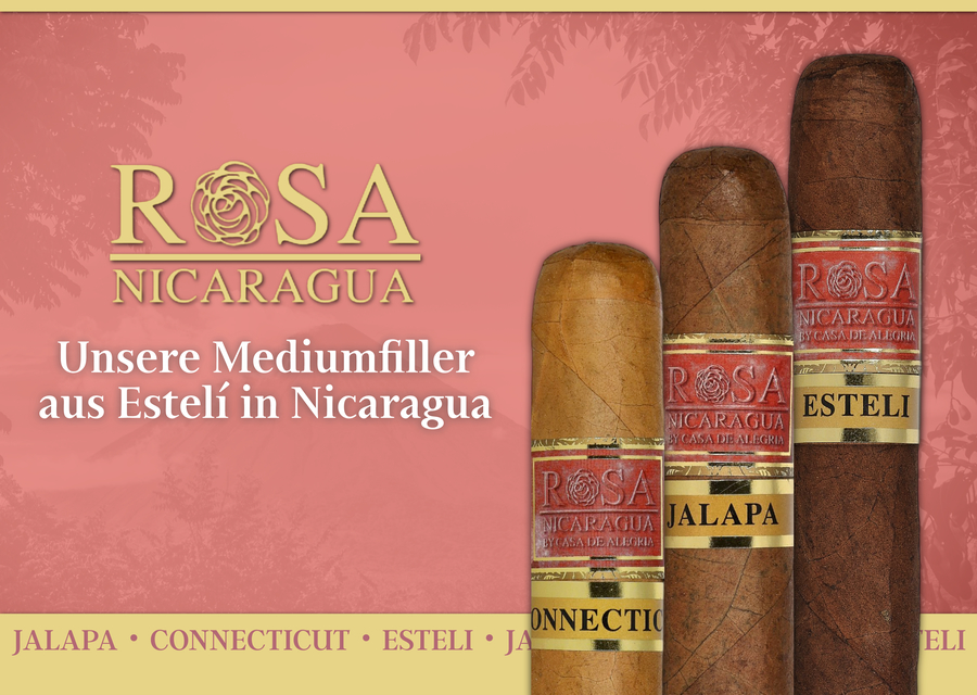Drei Zigarren der Serien Jalapa, Esteli und Connecticut von Rosa Nicaragua