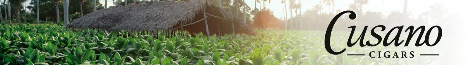 Cusano – Cigars
