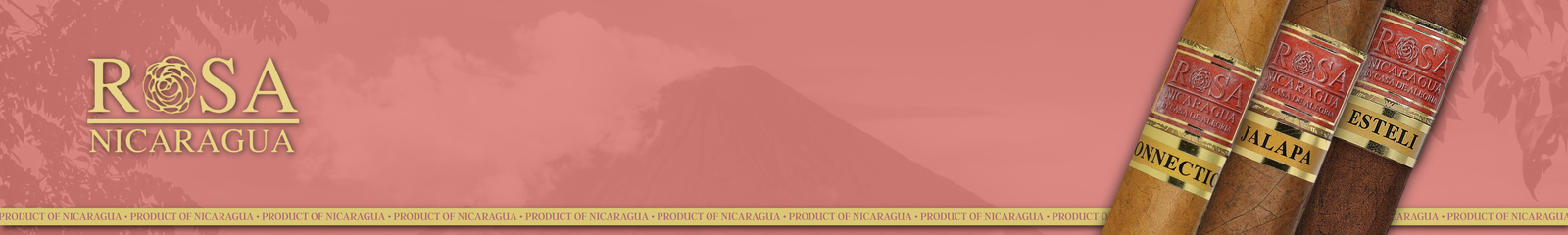 Rosa Nicaragua – Zigarren